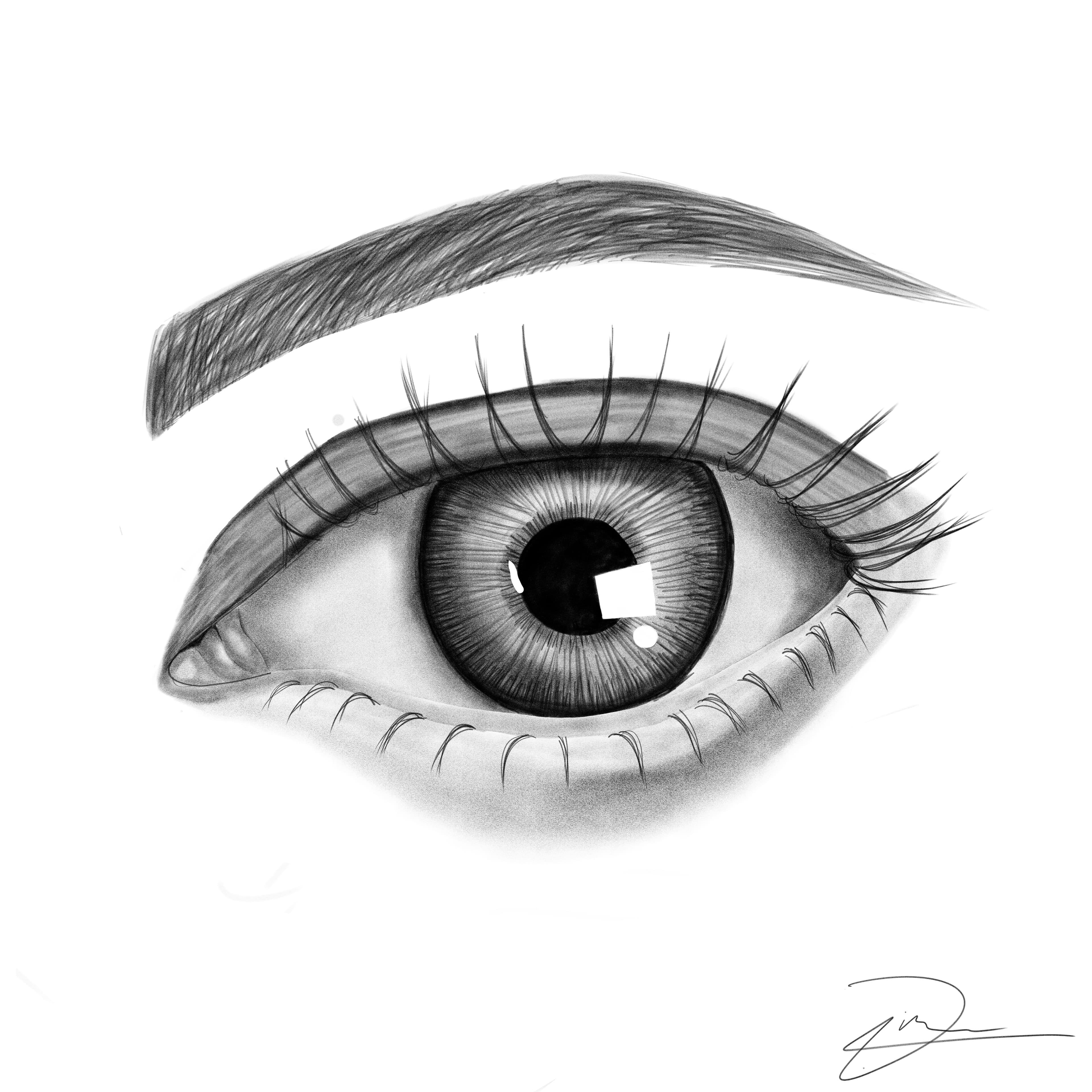 The Gaze